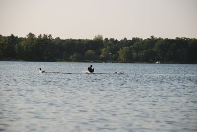 DSC_1087.jpg