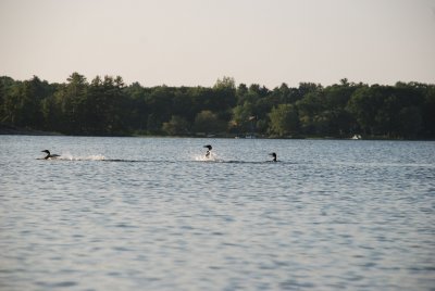 DSC_1088.jpg