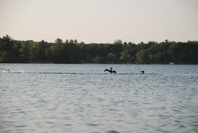 DSC_1090.jpg