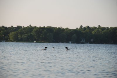 DSC_1124.jpg