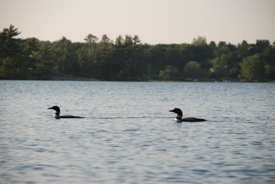 DSC_1165.jpg