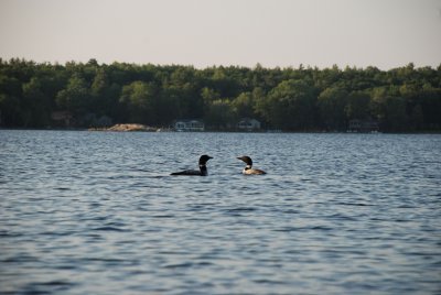DSC_1191.jpg