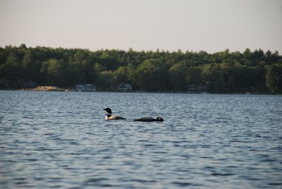 DSC_1193.jpg