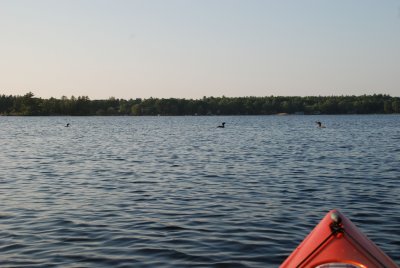 DSC_1197.jpg