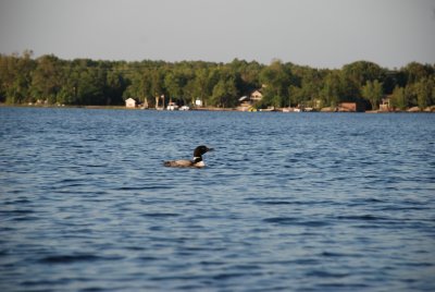 DSC_1207.jpg