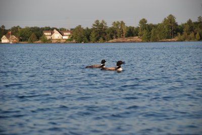 DSC_1218.jpg