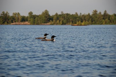 DSC_1221.jpg