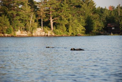 DSC_1247.jpg
