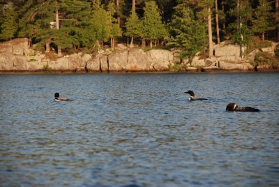DSC_1254.jpg