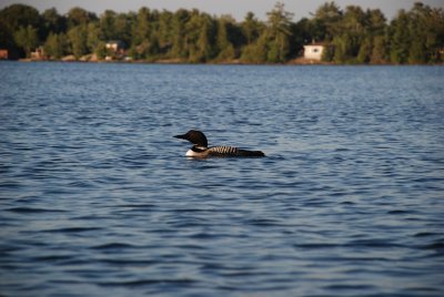 DSC_1287.jpg