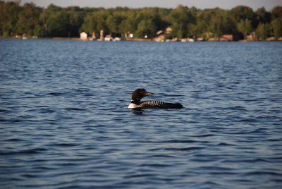 DSC_1291.jpg