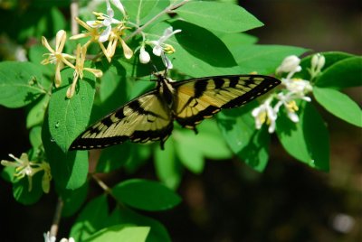 DSC_9415.jpg