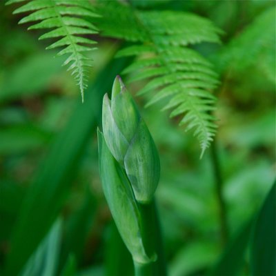 DSC_9380.jpg