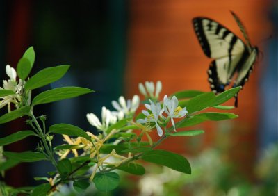DSC_9478.jpg