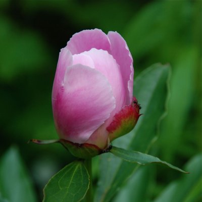 DSC_9640.jpg