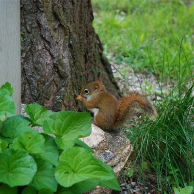 DSC_9718.jpg