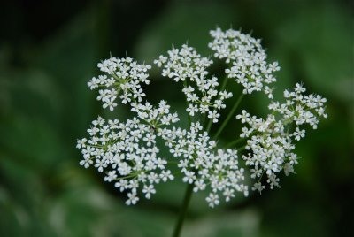 DSC_9720.jpg
