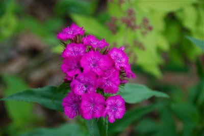 DSC_9736.jpg