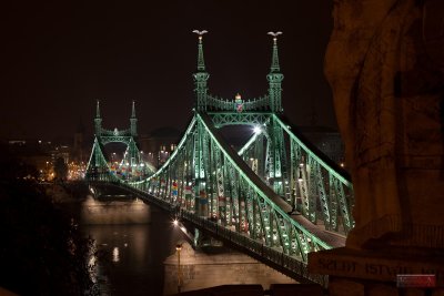 St. Stephen's statue and the Liberty Bridge - Budapest, Hungary