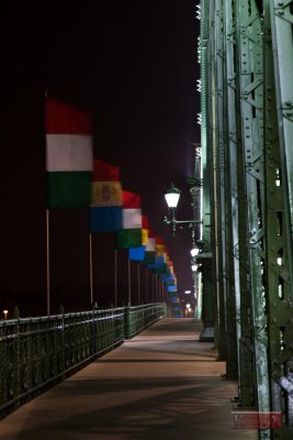 Szabasg hd (Liberty Bridge) - Budapest, Hungary