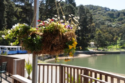 Angel Island - Bay Area