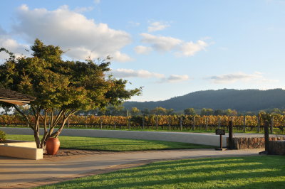 Napa Valley