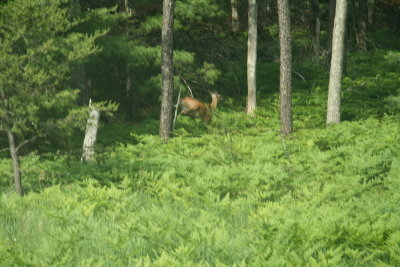 IMG_7049.JPG