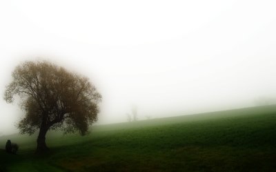 In Fog and Rain II ...