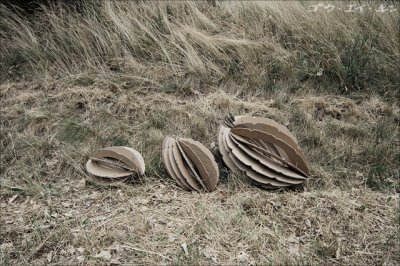 260608 installation in the fields