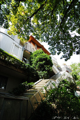 Houses around Rauchstrasse