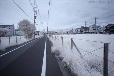 080508 suburb
