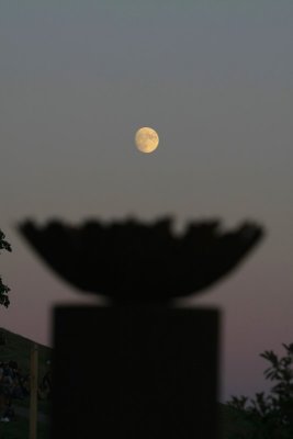 DF080715Di_212448.jpg
