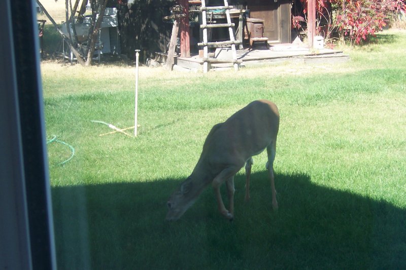 100_2815.jpg
