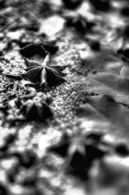 DSC_9316.jpg