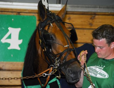 1. Passionate Glide Del Miller paddock