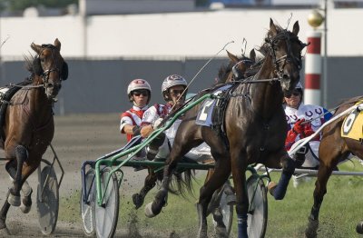 18. Hambo Elim top of stretch