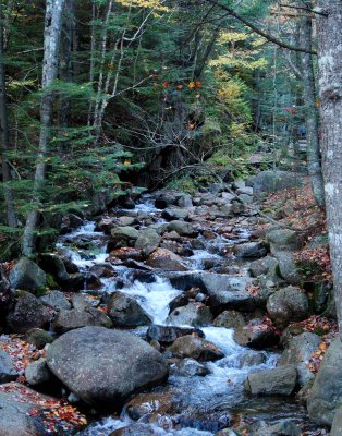 2006_1007069.jpg