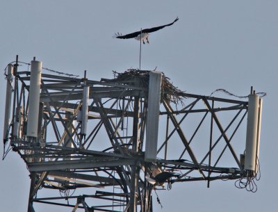 Second Try from Below 9723