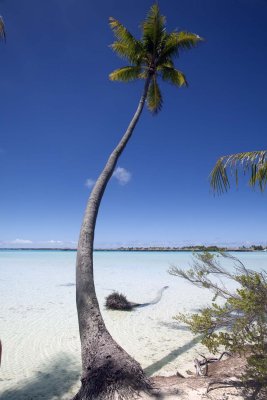 Bora Bora