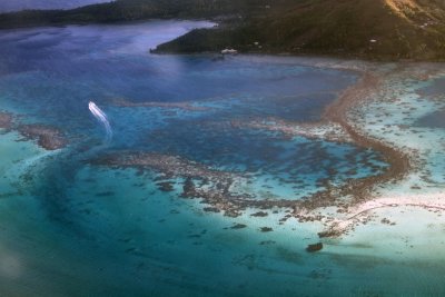 Bora Bora