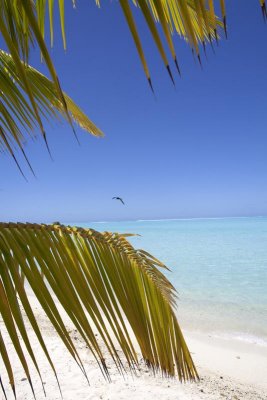 Bora Bora