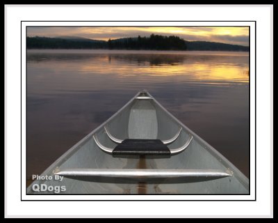 Algonquin Park 2008