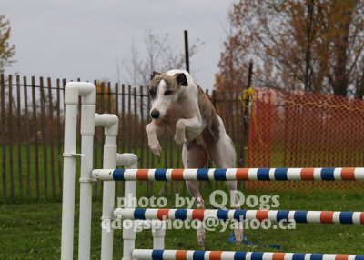 Stryder and Zulu