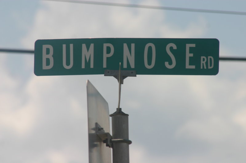 Bumpnose Rd