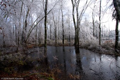 20081212-Heron-Pond-0160.jpg