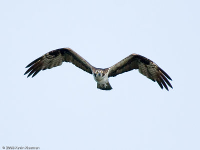 g5/49/749849/3/98677030.cGBaA8B6.jpg