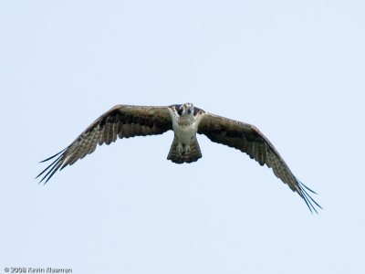 g5/49/749849/3/98677031.2E3X3ALW.jpg