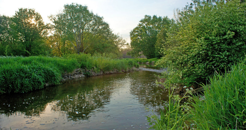 Stream 1