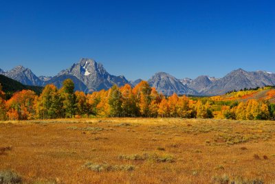 Grand Teton NP 09-26-08 1119