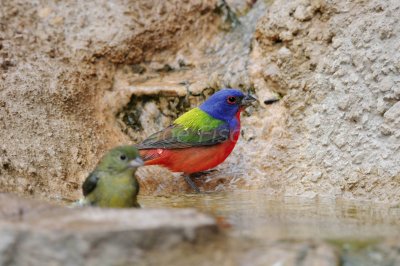 South Llano River SP 06-06-08 0001
